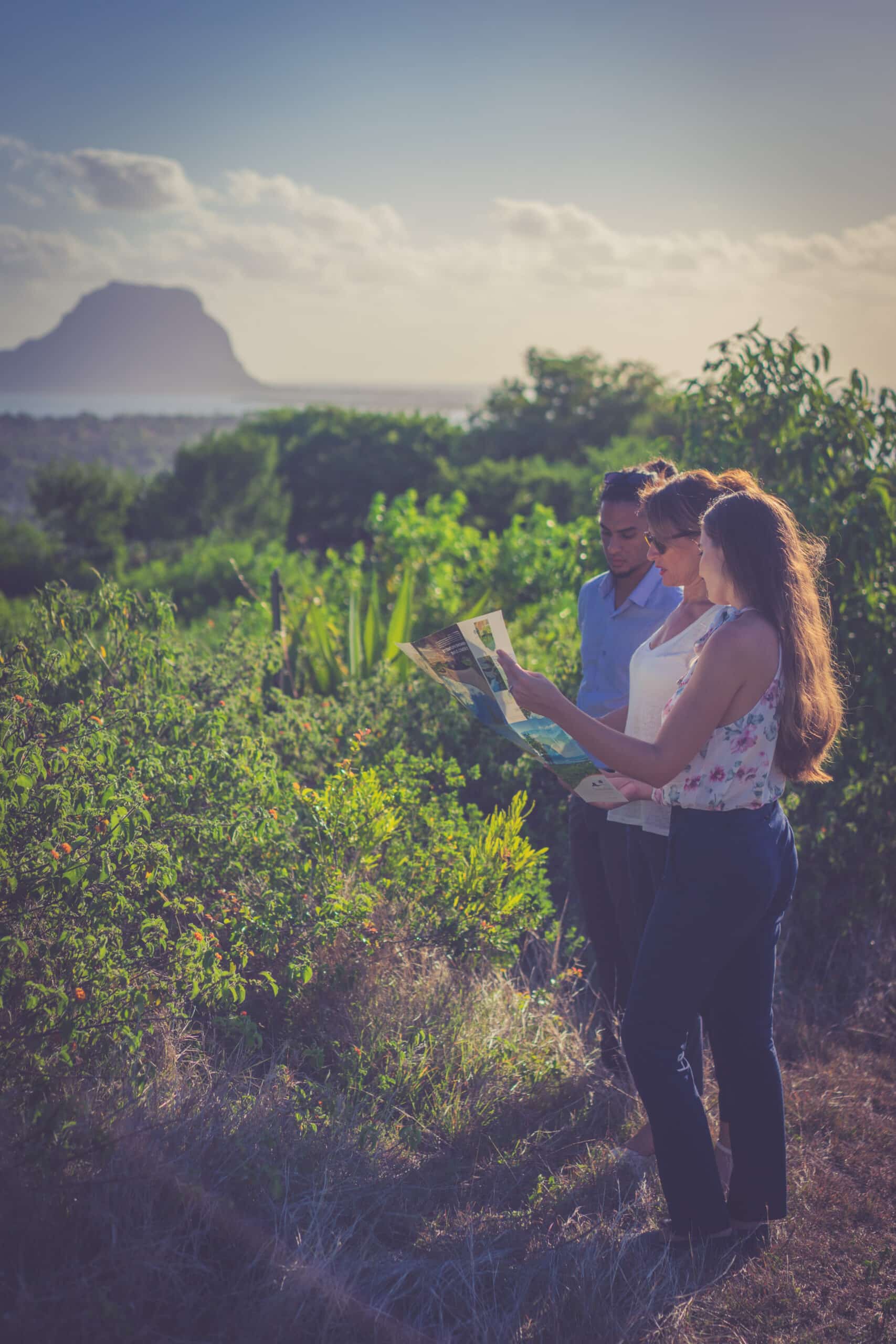 L'équipe d'experts travaillant sur la propriété Jiva Santosha, domaine de Palmyre, ile Maurice