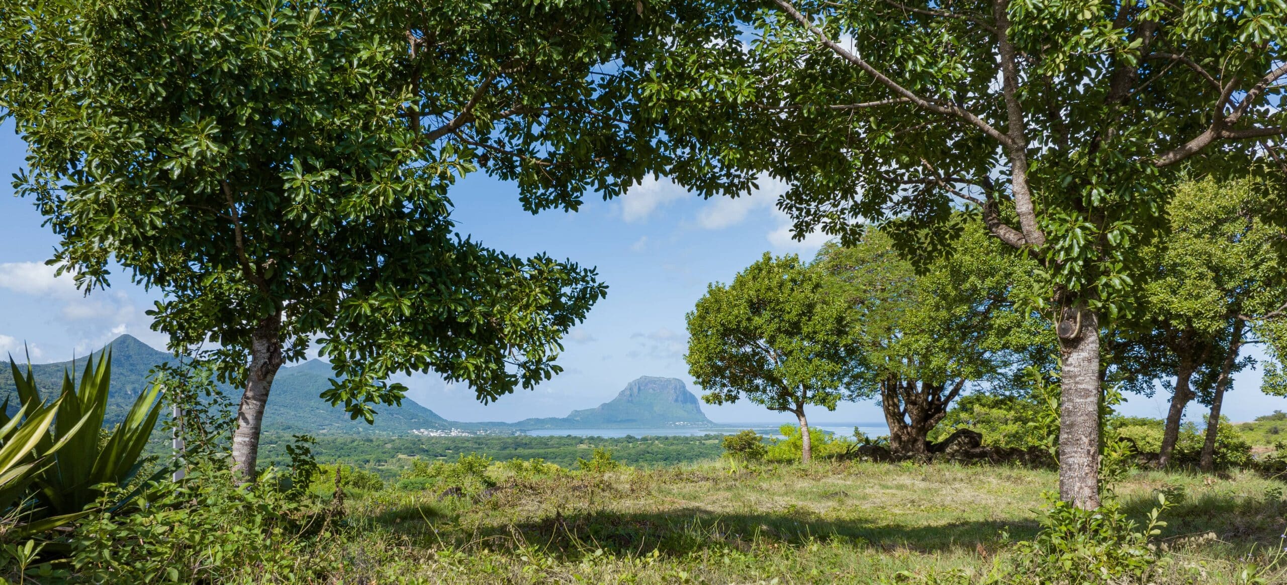 Vue sur le morne brabant depuis le site Jiva Santosha